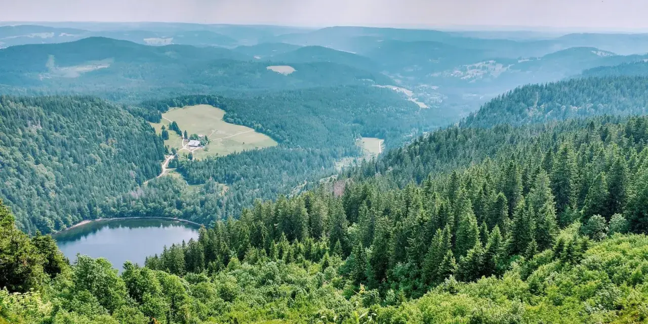 Widok na jezioro otoczone lasami i pagórkami. To jedno z najpiękniejszych miejsc w Schwarzwaldzie, gdzie natura zachwyca spokojem i zielenią.