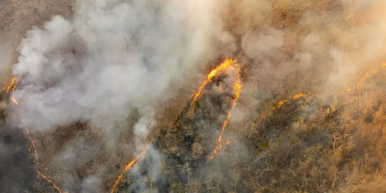 Globalne emisje CO2: Rekordy, liderzy, prognozy. Czy zatrzymamy wzrost?