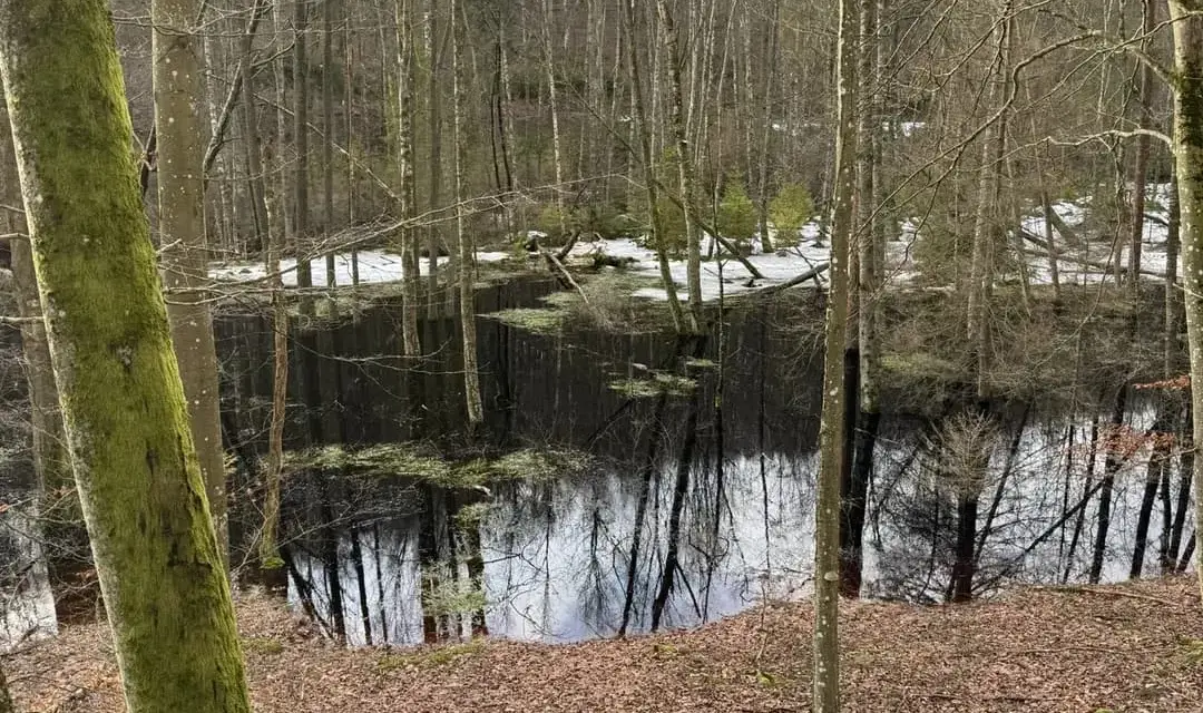 Rezerwat przyrody Lubygość: piękne krajobrazy i unikalna fauna