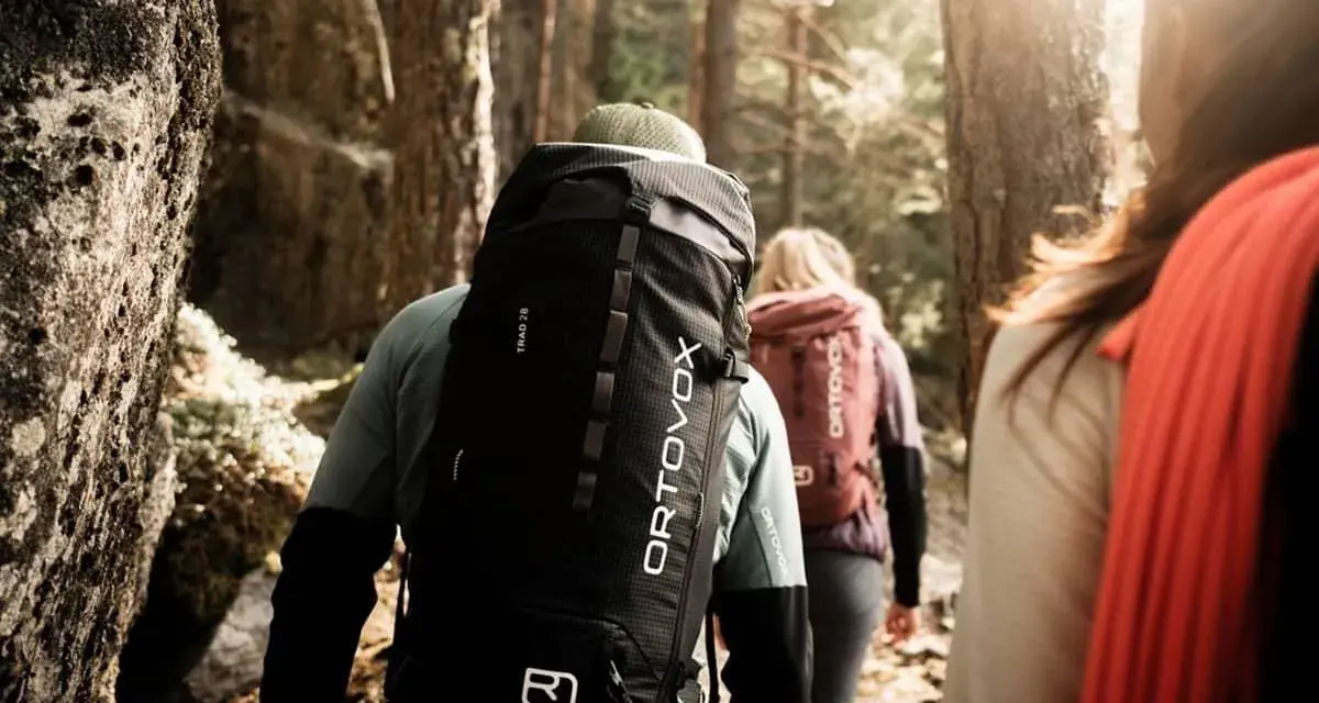 Trois randonneurs avancent dans une forêt ensoleillée, chacun portant un sac à dos Ortovox. Le sac de randonnée noir du premier plan est prêt pour le prochain lavage.