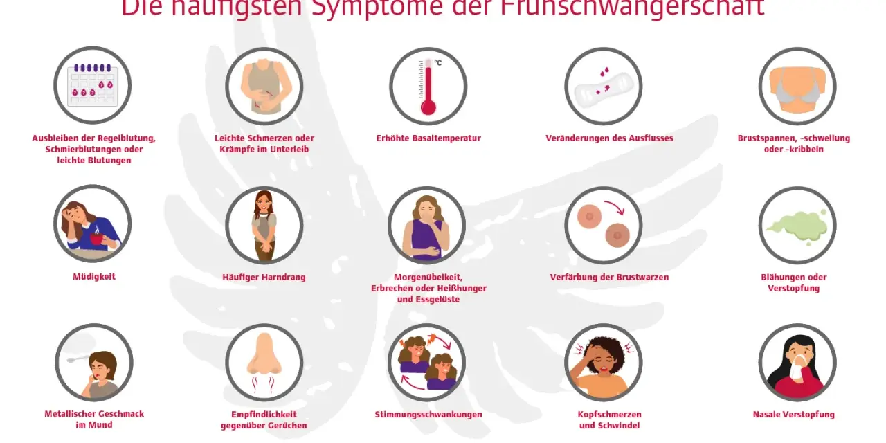 Frühe Schwangerschaftsanzeichen: Müdigkeit, Übelkeit, Brustspannen, veränderter Ausfluss, Stimmungsschwankungen und mehr. Informiert über die ersten Wochen der Schwangerschaft.
