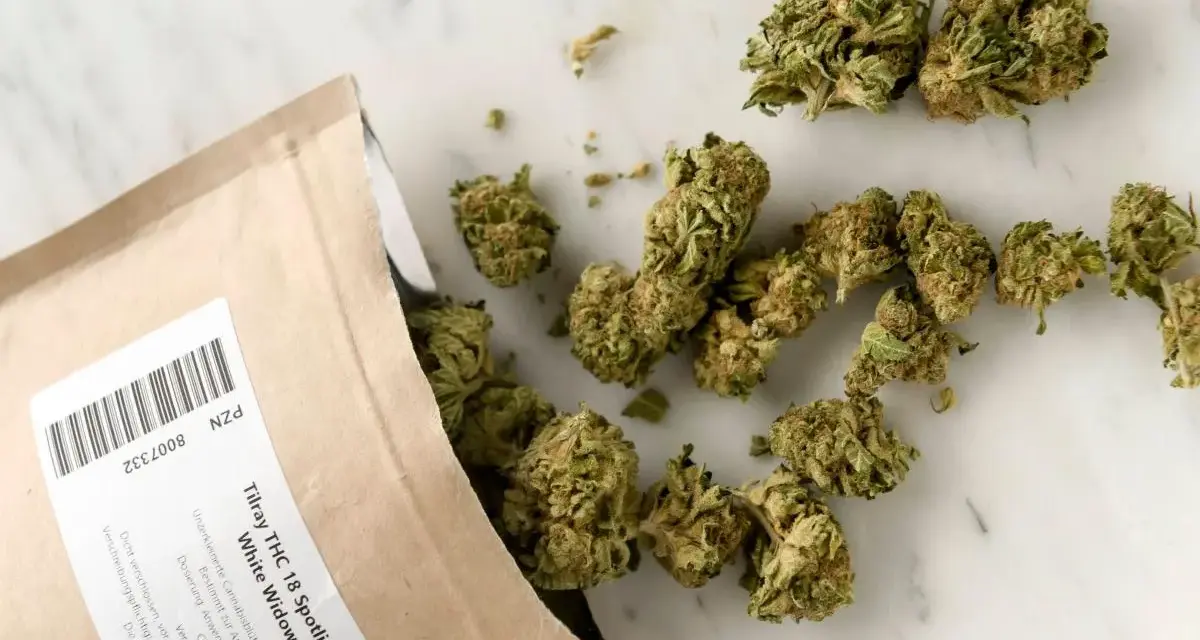 Privatrezept cannabisblüten kosten: So viel müssen Sie wirklich zahlen