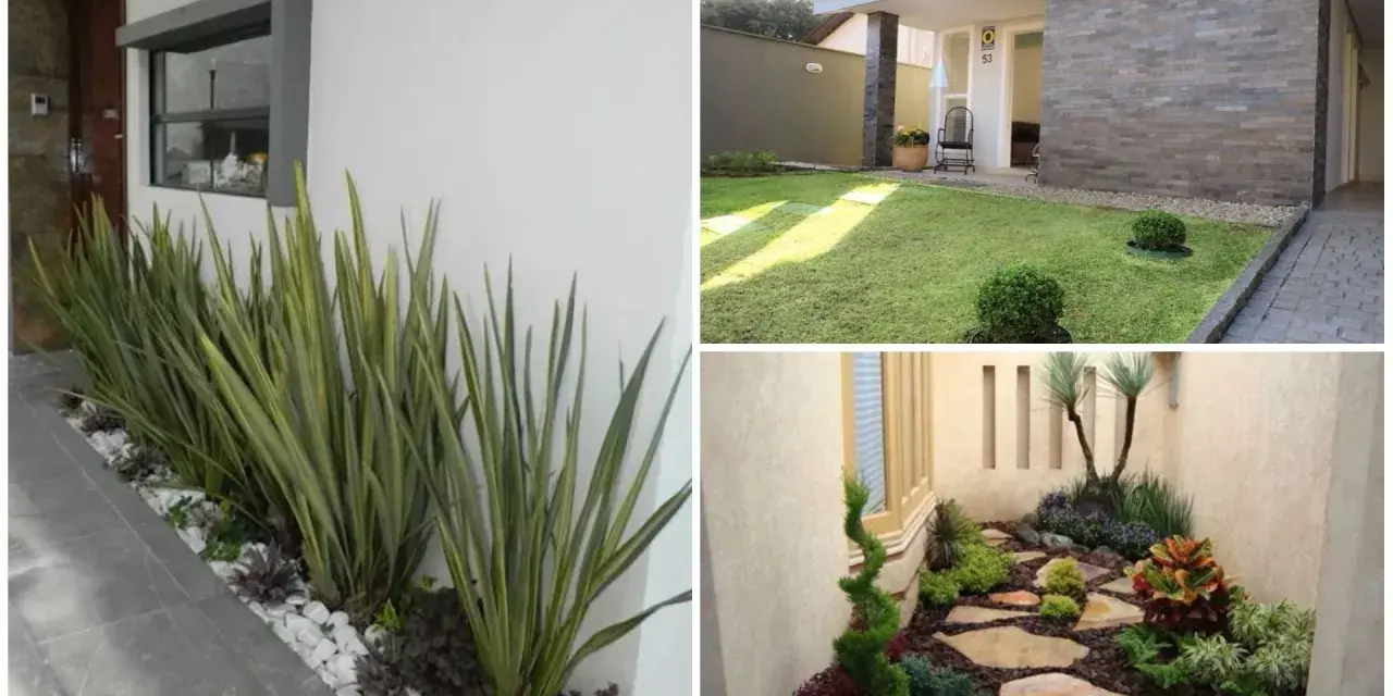 Idee per come abbellire un giardino con pochi soldi: piante decorative, ghiaia bianca e sentieri in pietra creano un angolo verde accogliente.