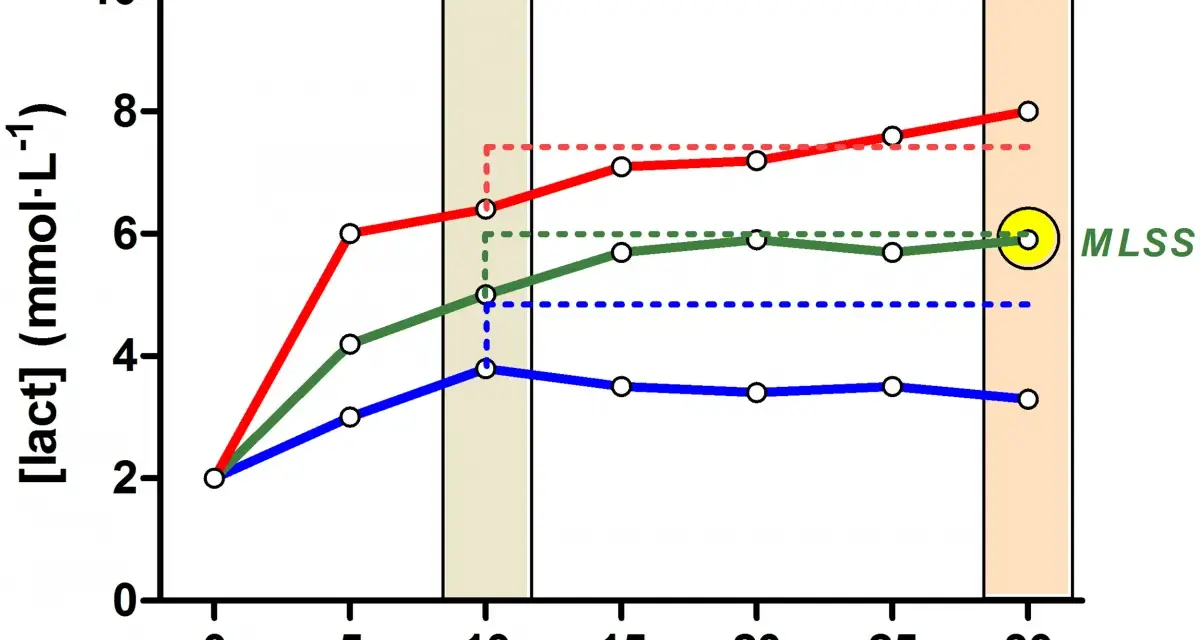 Grafico mostra i battiti durante la corsa a diverse potenze (260, 275, 290 W), con livelli di lattato nel tempo. Il punto MLSS è evidenziato.