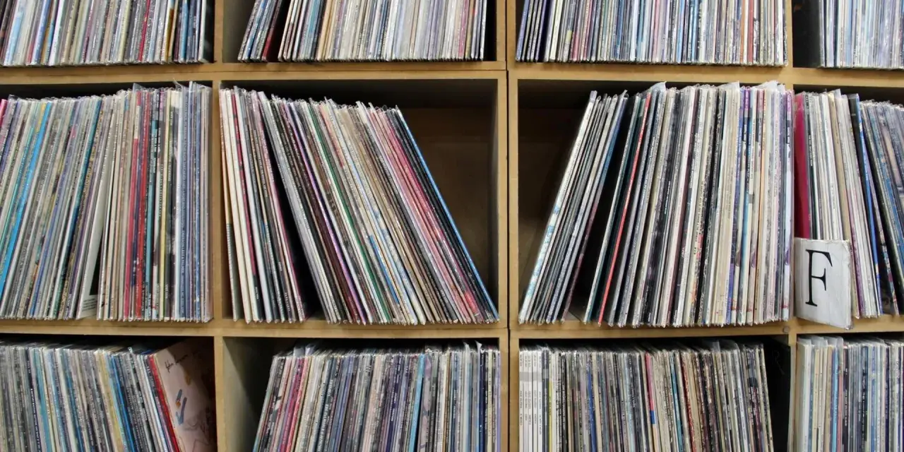 Regale voller Schallplatten, bereit für eine Session mit **ska musik**. Jede Hülle birgt einen Schatz an Rhythmen und Melodien.