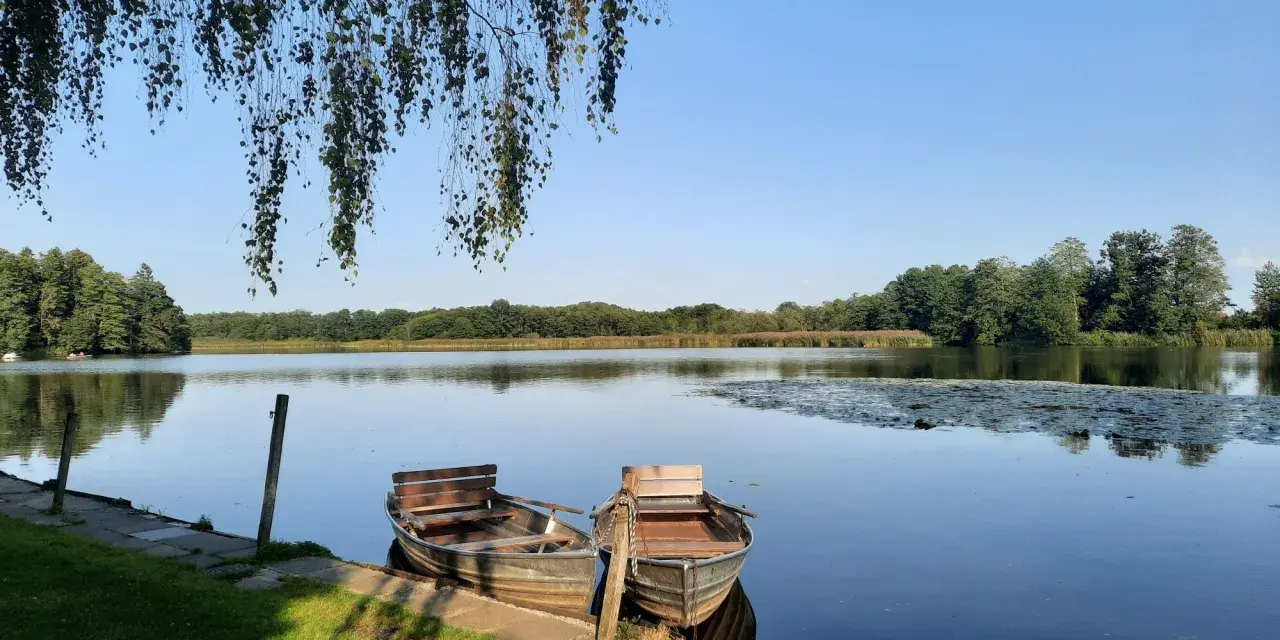 Zwei Ruderboote liegen am Ufer des Schwaigfurter Weihers. Über ihnen hängen Birkenzweige im sanften Licht.