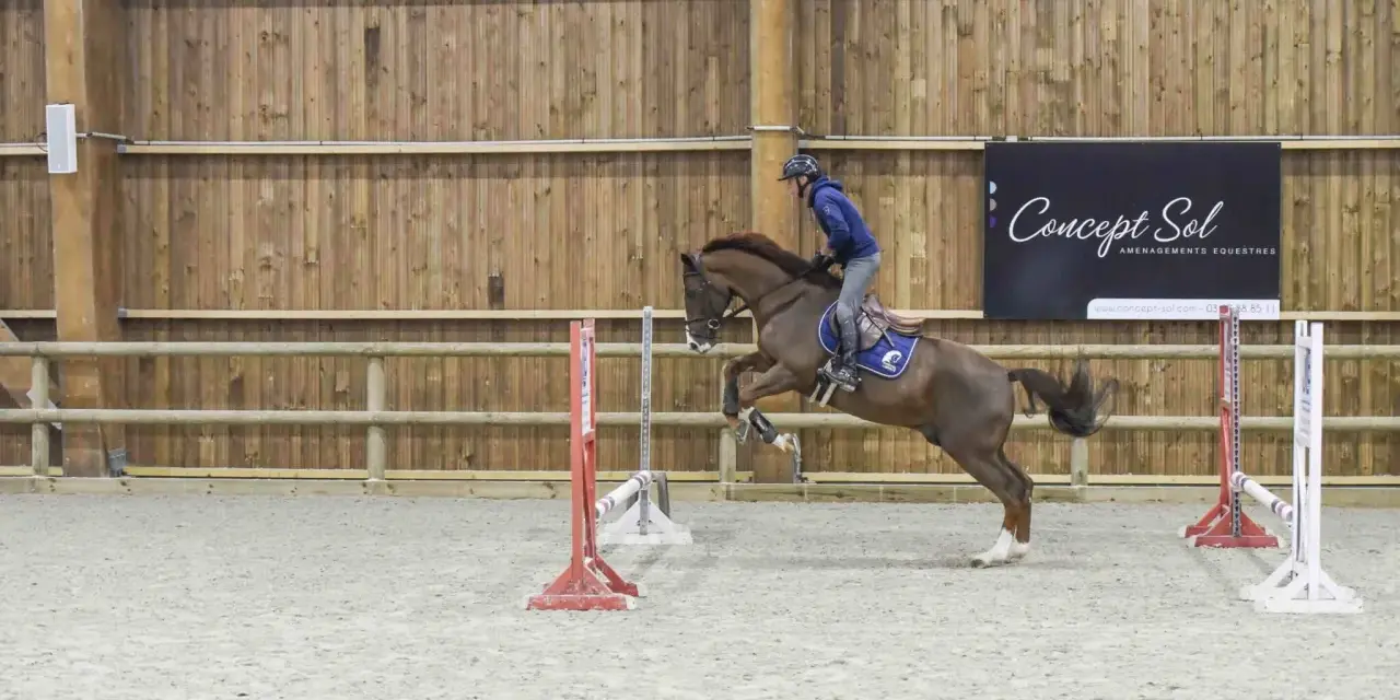Cavalier et cheval sautent un obstacle dans un manège couvert, rappelant l'ambiance du lido de Camaiore.