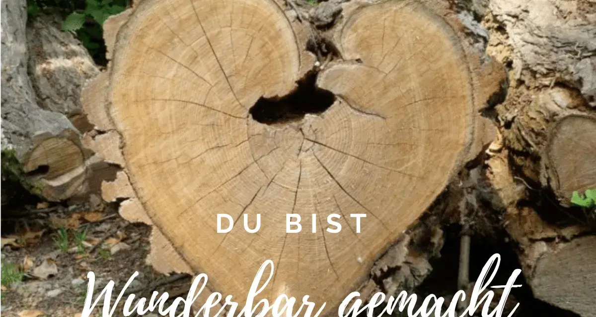 Herzförmiger Baumstamm mit Jahresringen, der an Psalm 139,14 erinnert: "Ich danke dir dafür, dass ich auf wunderbare Weise gemacht bin.
