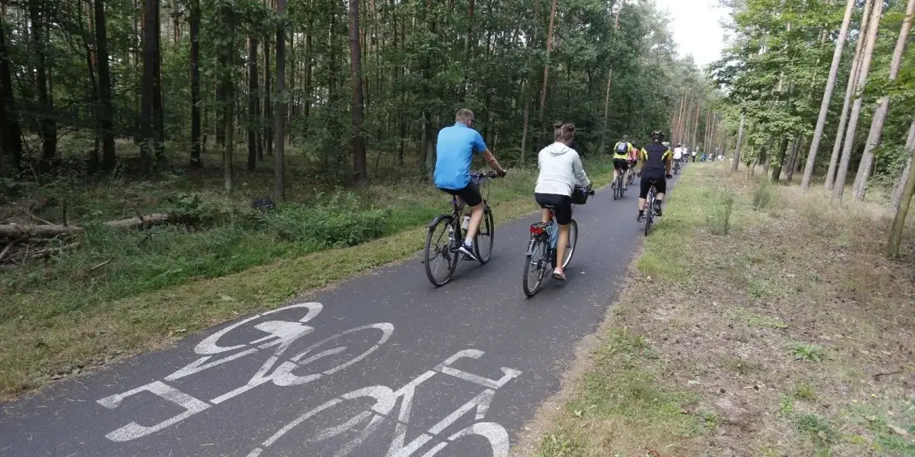 Grupa rowerzystów przemierza leśne trasy rowerowe Bydgoszcz. Ścieżka jest oznakowana symbolami rowerów.