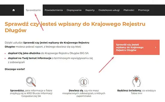 Jak sprawdzić, czy jesteś w KRD? Darmowy poradnik krok po kroku