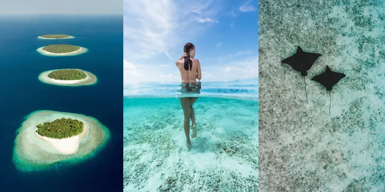 Wyspy na oceanie, kobieta w wodzie, płaszczki. Czy to Mauritius czy Malediwy? Rajskie widoki.