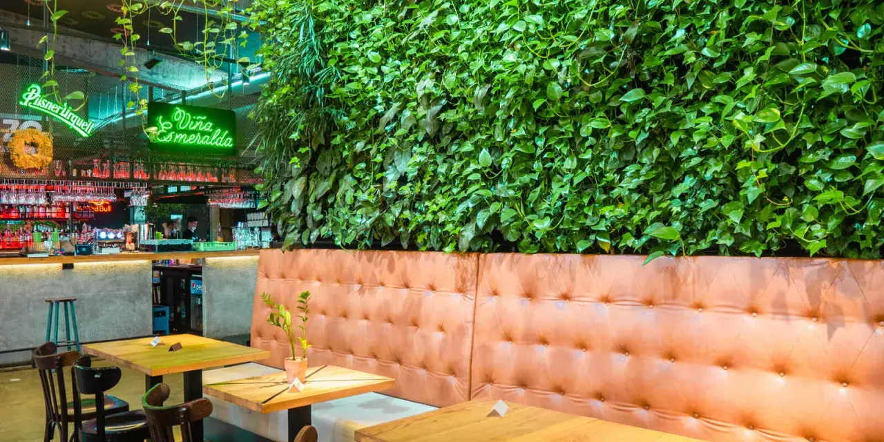 Wnętrze restauracji z zieloną ścianą i wygodnymi lożami. Idealne miejsce na odkrycie najlepszych restauracji w Krakowie - Ranking top 6.