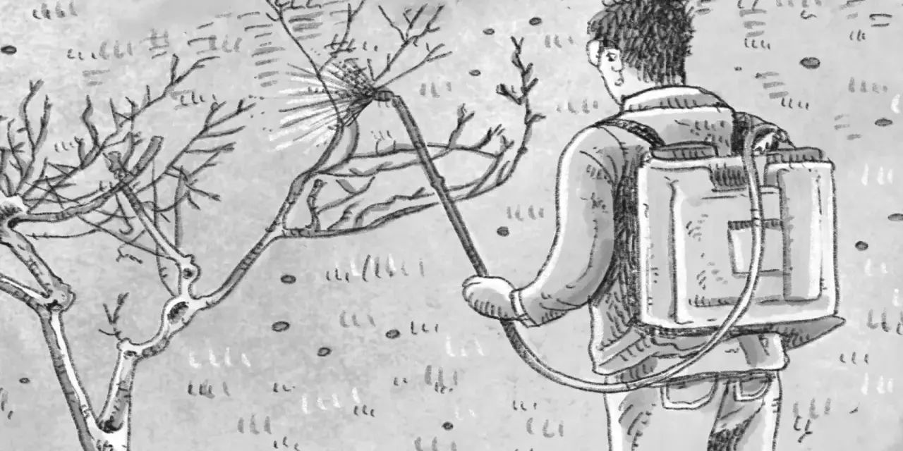 Uomo con zaino irroratore tratta un albero da frutto spruzzando. Illustrazione che ricorda una tabella trattamenti alberi da frutto.