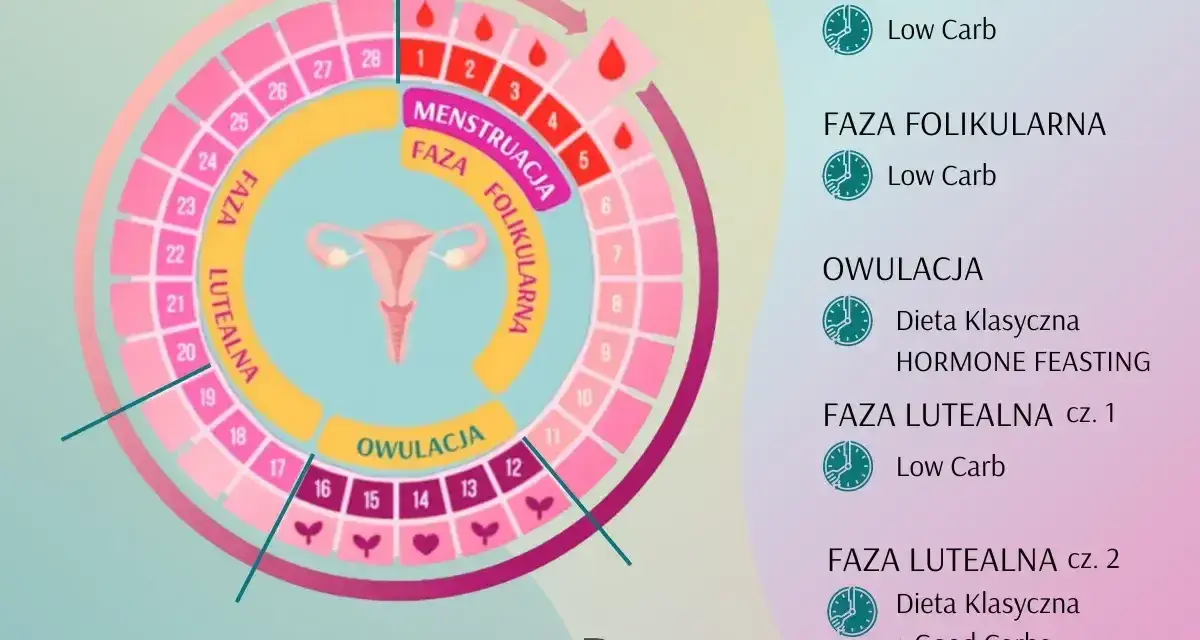 Cykl menstruacyjny: faza folikularna, owulacja i faza lutealna. Schemat cyklu z podziałem na fazy i zalecenia dietetyczne.