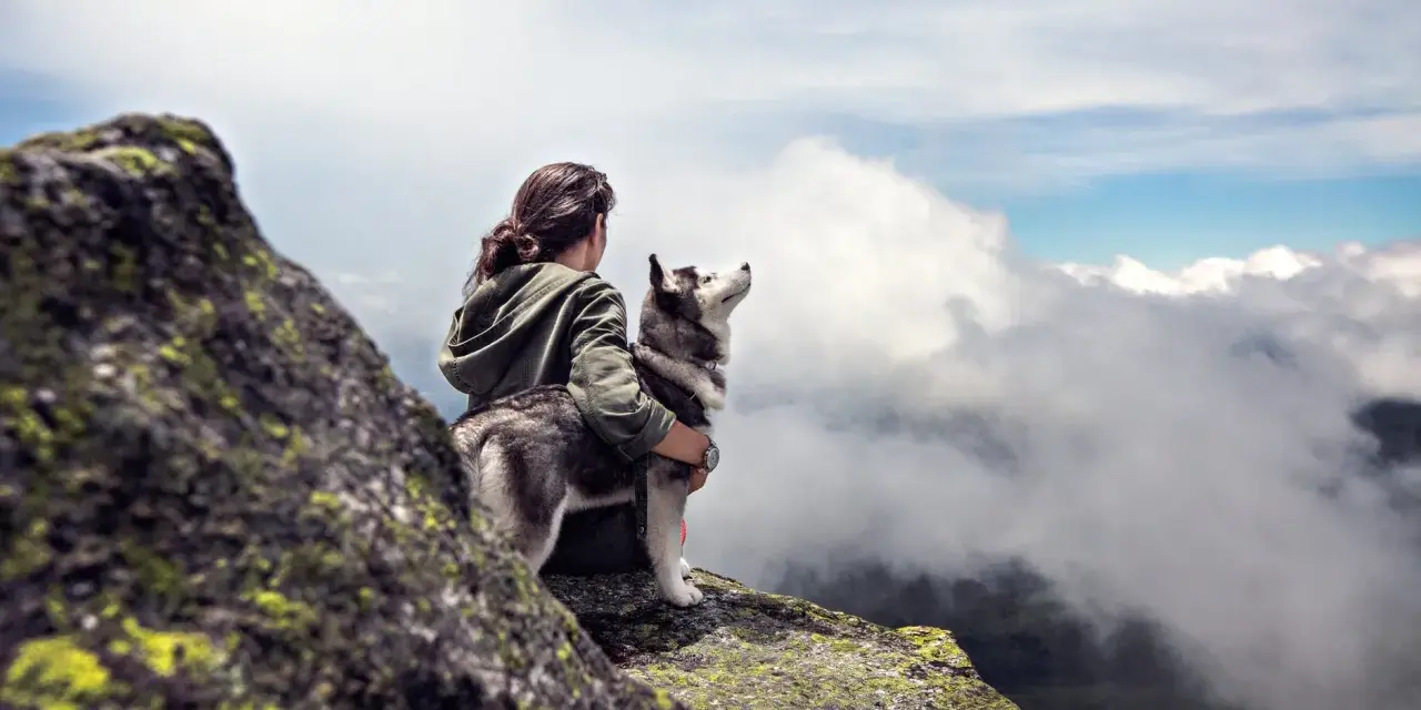 Une femme et son husky profitent d'une vue imprenable sur les nuages lors d'une randonnée.