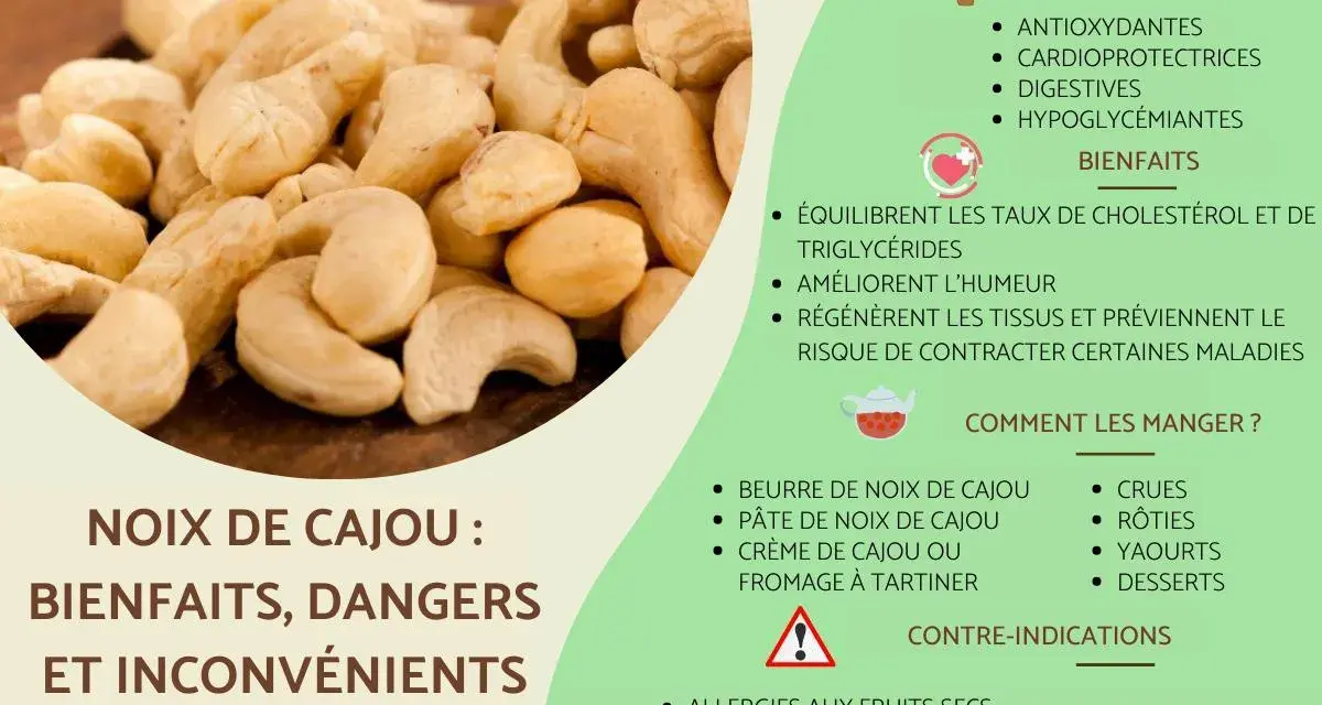 Gros plan sur des noix de cajou, avec des informations sur leurs bienfaits, mais aussi le noix de cajou danger potentiel lié aux allergies et au cardol.