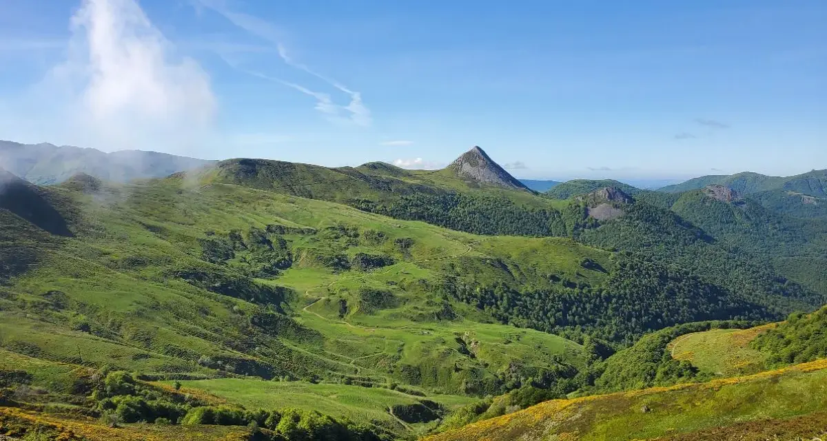 Vastes collines verdoyantes parsemées de fleurs jaunes, dominant la vallée de la Jordanne sous un ciel bleu.
