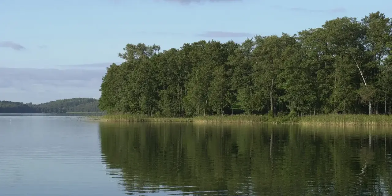 Spokojne jezioro z odbijającym się lasem w tle. Czy to właśnie tu znajduje się najgłębsze jezioro w Polsce?
