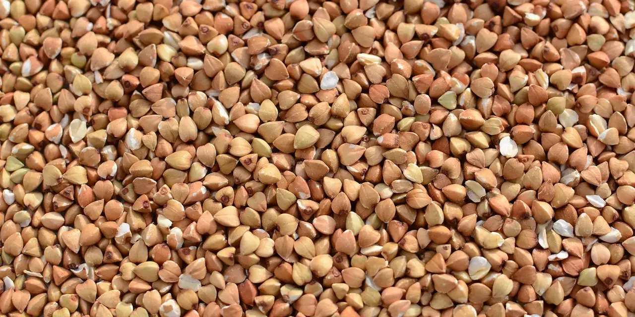 Nahaufnahme von Buchweizenkörnern, eine gesunde, glutenfreie Zutat für vielfältige Gerichte.