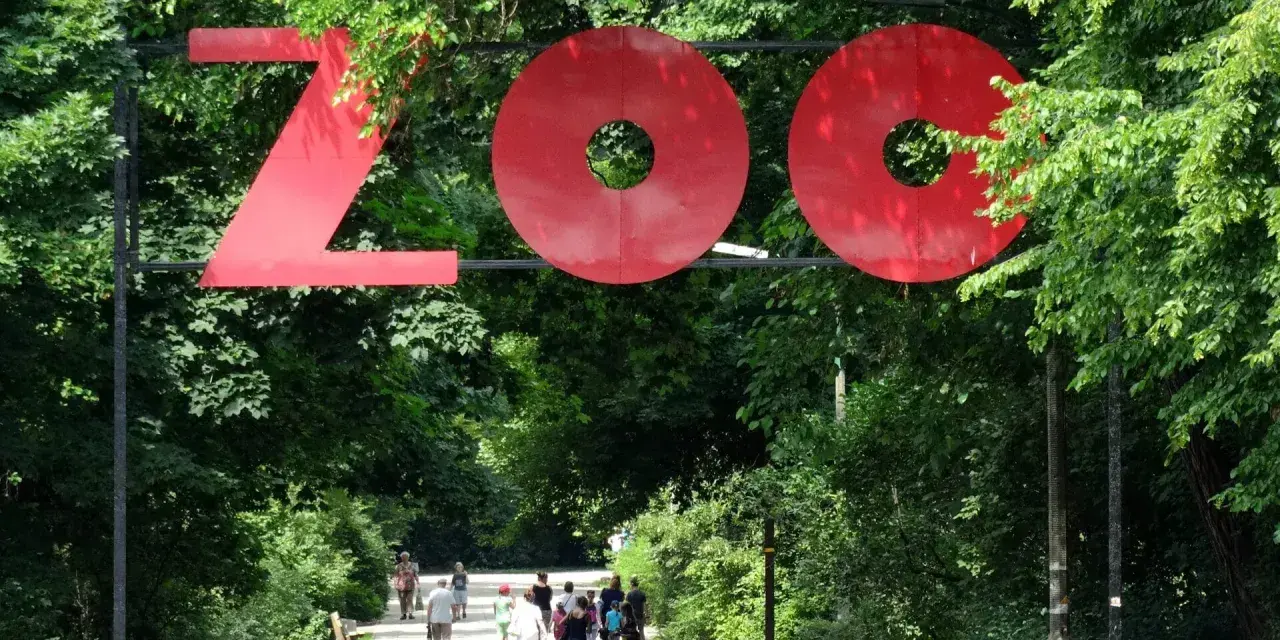 Wejście do największego zoo w Polsce. Ludzie spacerują alejką wśród zieleni.