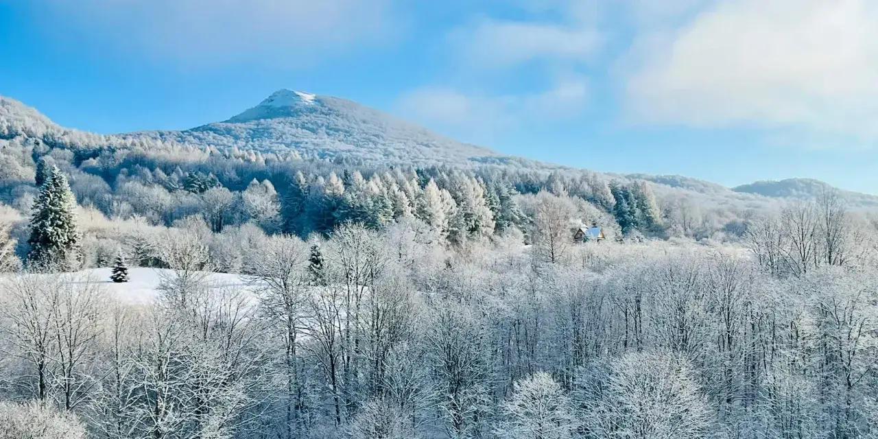 Bieszczady zimą. Ośnieżone drzewa i góry pod błękitnym niebem. W oddali widać mały domek.