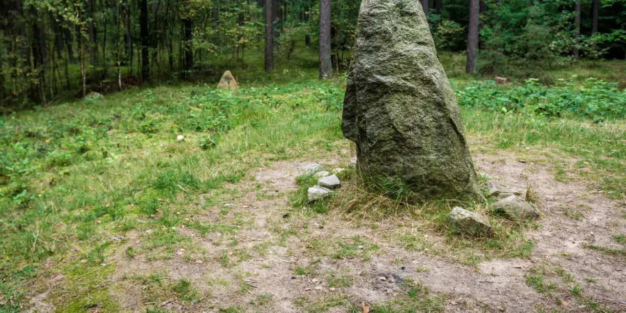 Kamienne kręgi na Kaszubach, tajemnicze głazy w lesie, świadkowie dawnych czasów.