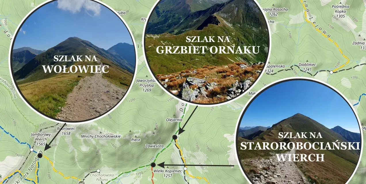 Trzy górskie szlaki: na Wołowiec, Grzbiet Ornaku i starorobociański Wierch. Widok na skaliste, trawiaste zbocza Tatr.
