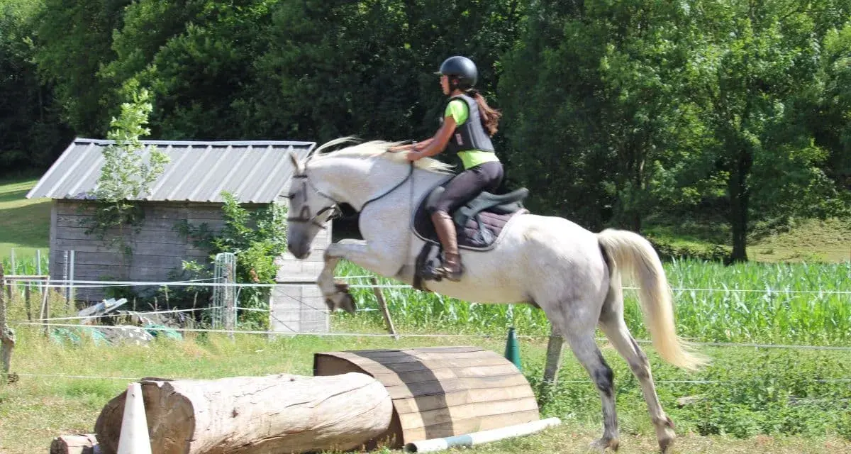 Une cavalière et son cheval blanc franchissent un obstacle en CSO équitation. Le cheval saute par-dessus un tronc d'arbre et une structure en bois.