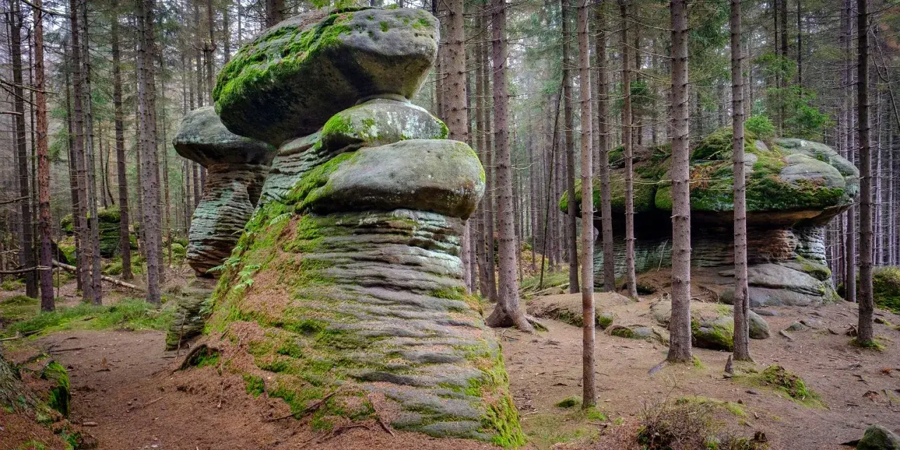 Skalne grzyby porośnięte mchem w lesie. Te naturalne formacje skalne przypominają gigantyczne grzyby, tworząc niezwykły krajobraz.