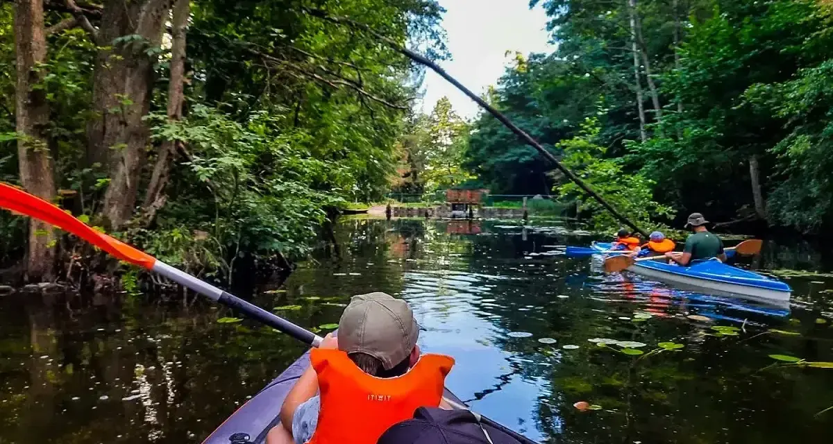 Rodzina płynie kajakiem po malowniczym Pojezierzu Brodnickim, otoczona bujną zielenią.