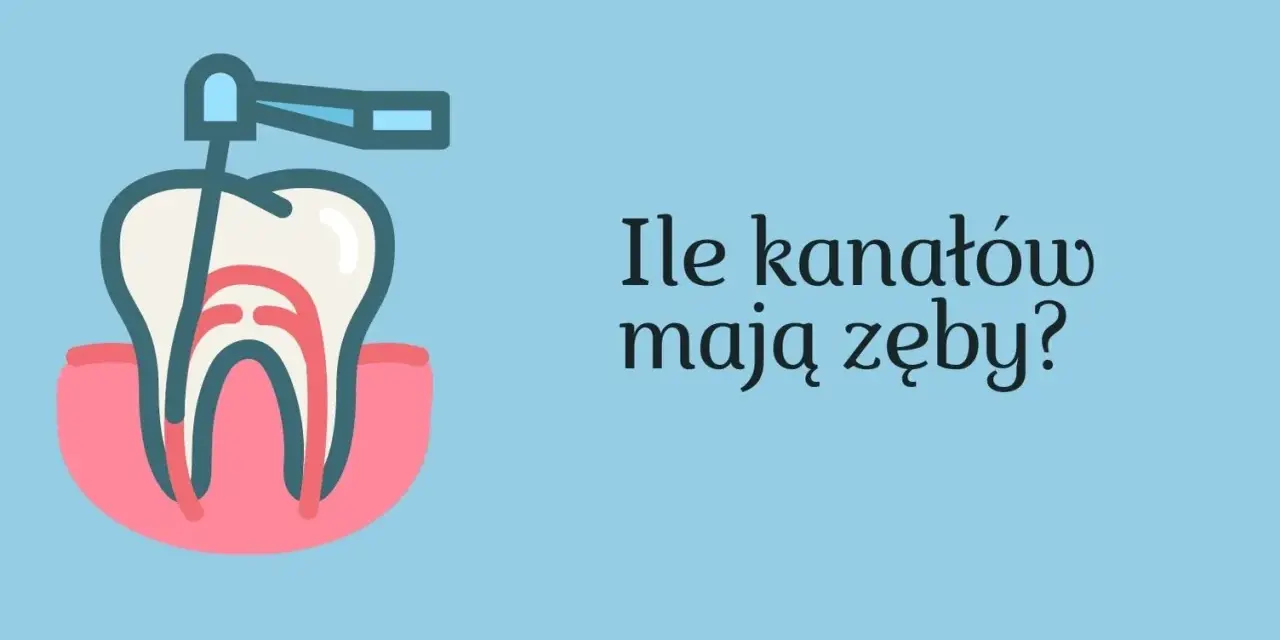 Ząb 5 ile ma kanałów? Odkryj zaskakujące różnice w budowie