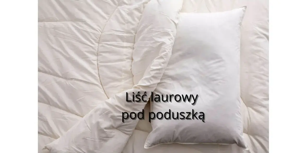 Biała pościel z poduszką. Tekst na poduszce: liść laurowy pod poduszką.