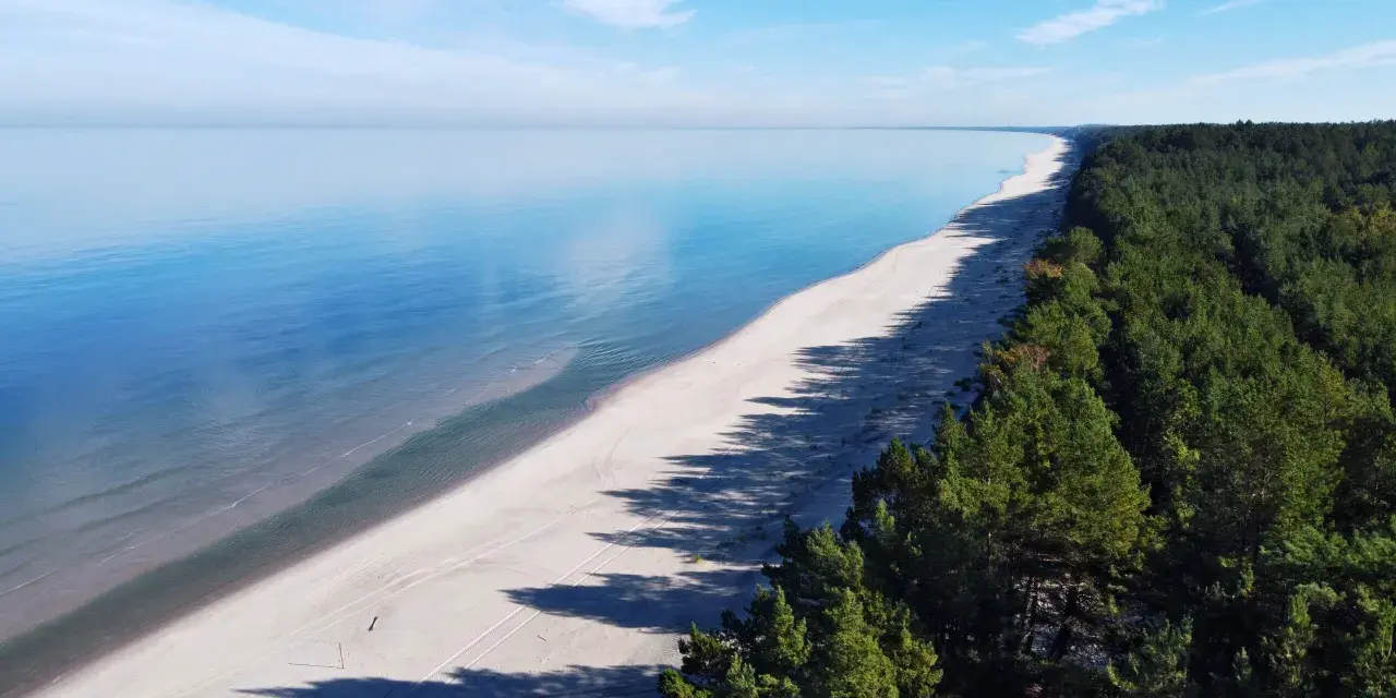 Szeroka, piaszczysta plaża na mierzei wiślanej, otoczona gęstym lasem sosnowym. Spokojne, błękitne morze i czyste niebo.