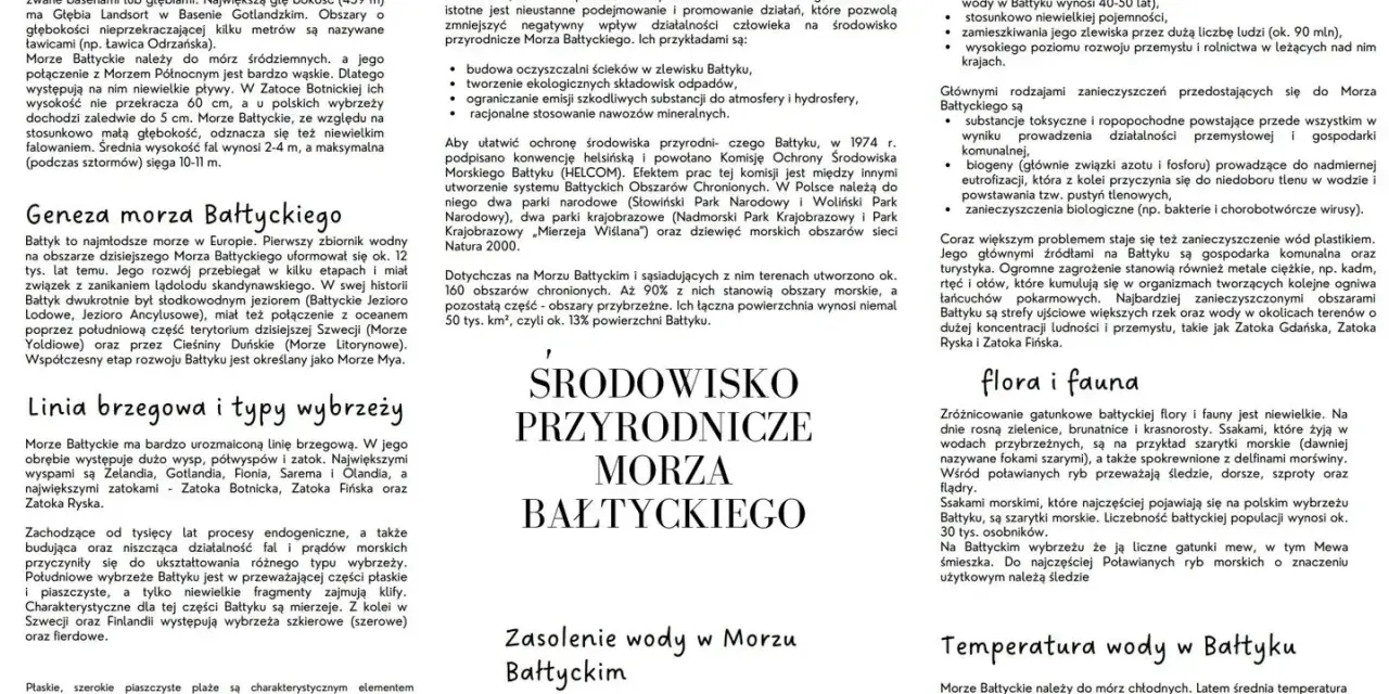 Powierzchnia Morza Bałtyckiego jest zanieczyszczona.