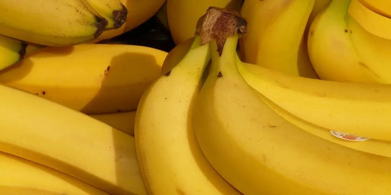 Gdzie rosną banany? Odkryj kraje i inspiracje podróżnicze