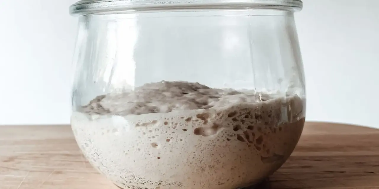 Aktiver Sauerteig im Glas, bereit für ein Lievito Madre Rezept. Blasen zeigen die Gärung.