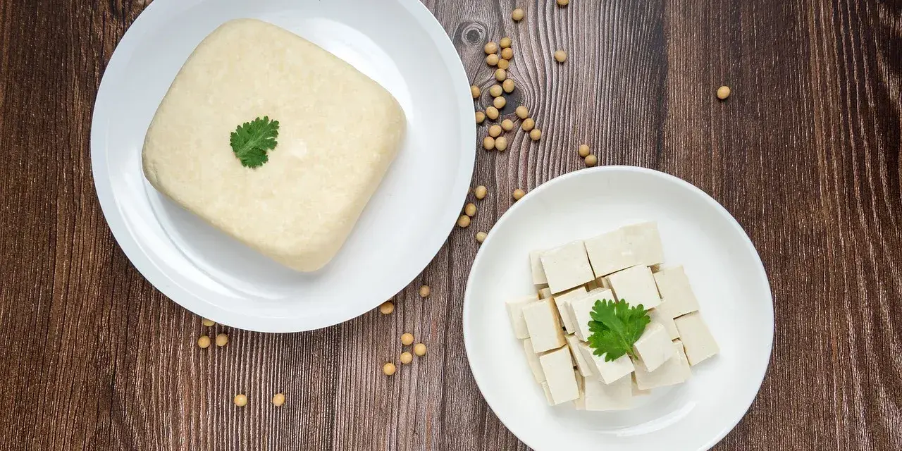 Kostka tofu i pokrojone w kostkę tofu na talerzach, gotowe do przygotowania pysznego tofu przepisu.