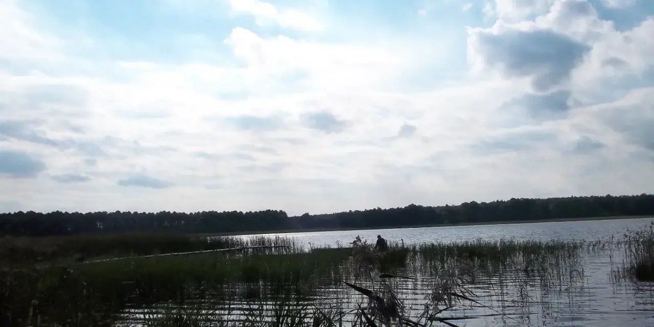 Spokojne jezioro Zagłębocze otoczone lasem, z trzcinami na brzegu i samotnym wędkarzem.