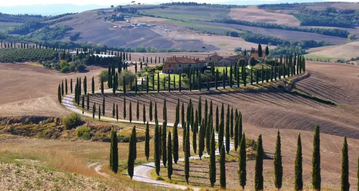 Strade sinuose e cipressi iconici nel parco della Val d'Orcia, con un casale in lontananza.