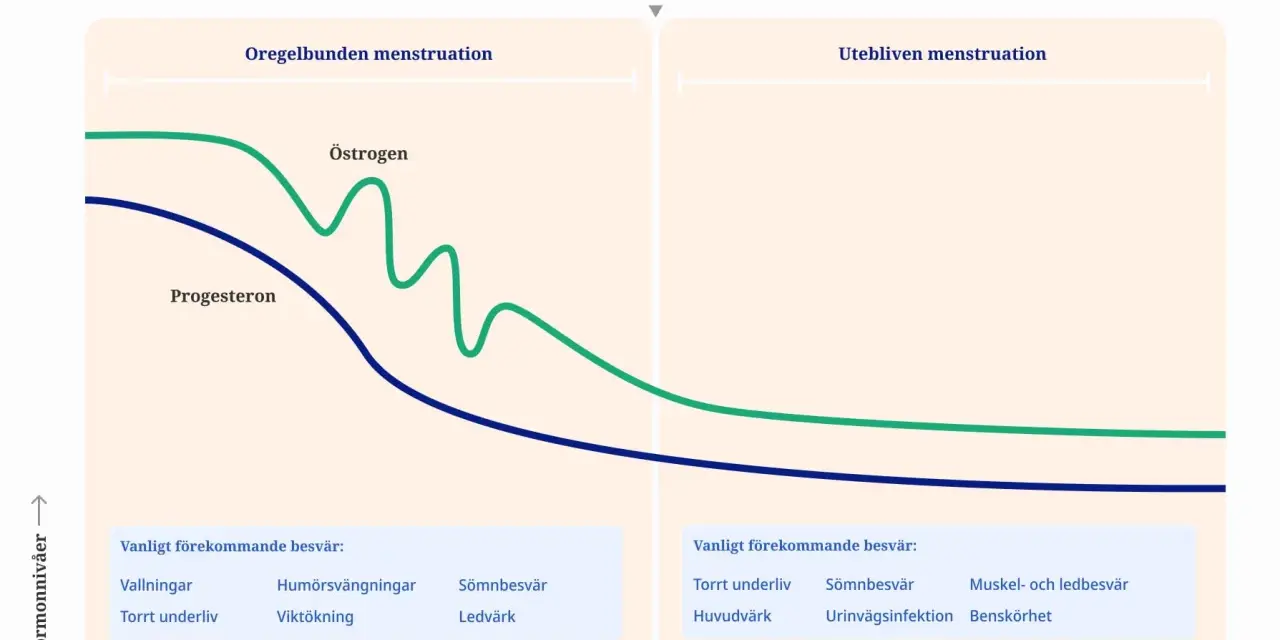 Graf som visar hormonförändringar under perimenopaus, menopaus och postmenopaus. Beskriver vanliga besvär efter klimakteriet.