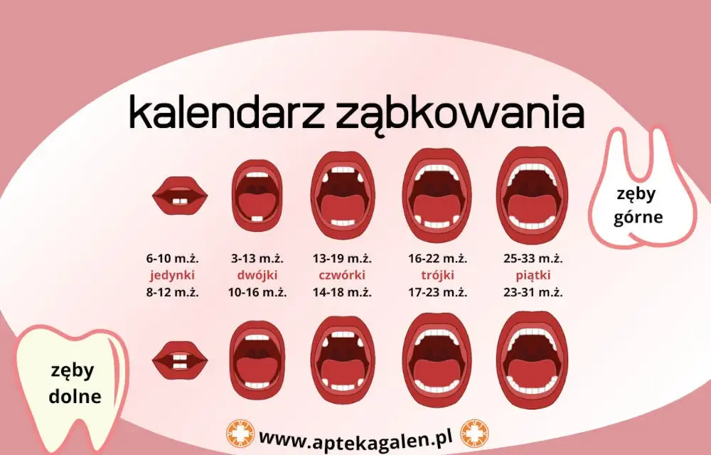 Piątki u dziecka: Kiedy wychodzą i jak ulżyć w bólu?