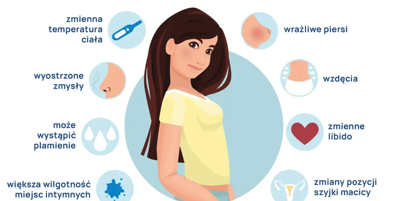Objawy owulacji: zmienna temperatura, wyostrzone zmysły, plamienie, wilgotność, ból, wzdęcia, libido, nudności, bóle głowy, wrażliwe piersi, zmiany szyjki macicy.