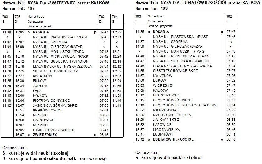 Skąd odjeżdża autobus Nysa? Adres, przewoźnicy, dojazd!