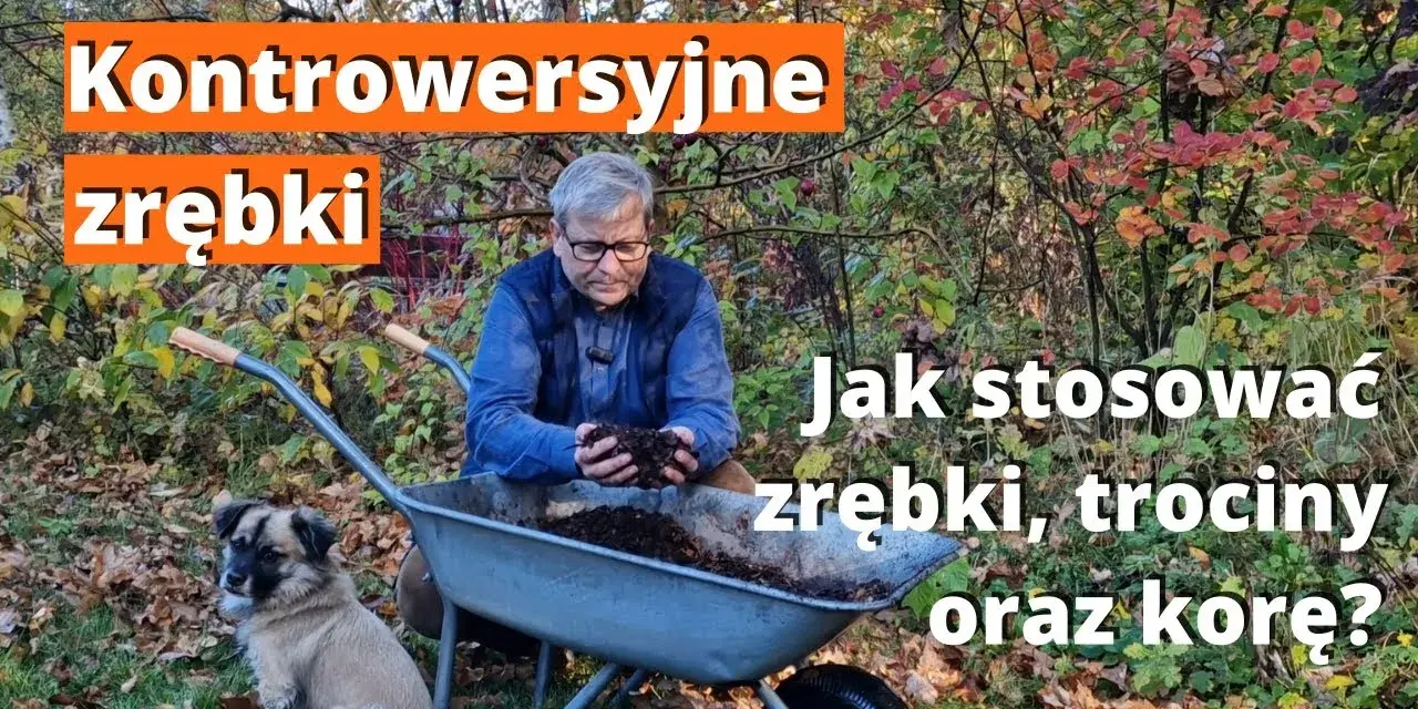 Kora czy zrębki - co lepsze do ogrodu? Odkryj kluczowe różnice