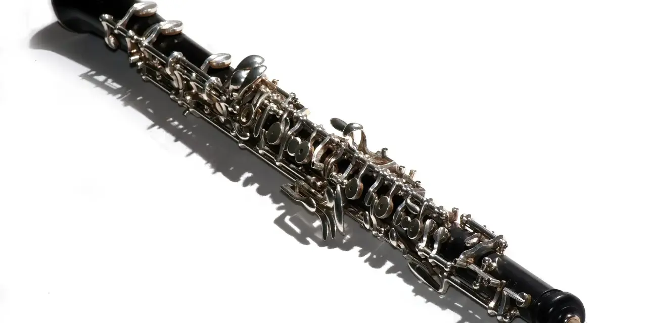 Ein elegantes Musikinstrument, eine Oboe, liegt im Schatten.