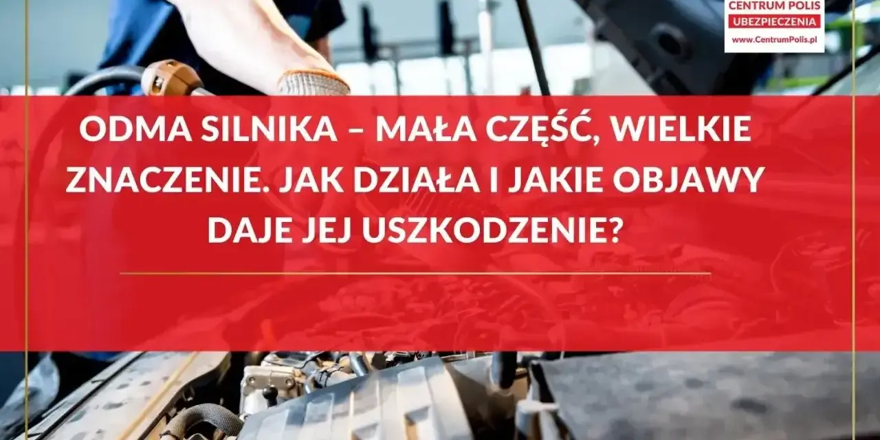 Mechanik sprawdza odma silnika. Dowiedz się, jak działa i jakie objawy daje jej uszkodzenie.