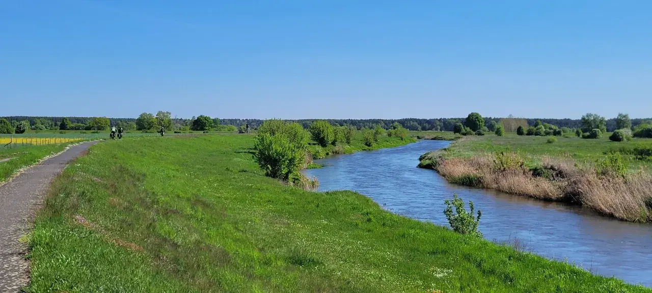 Malowniczy szlak rowerowy Odra Nysa wije się wśród zielonych łąk i lasów, nad błękitną rzeką.