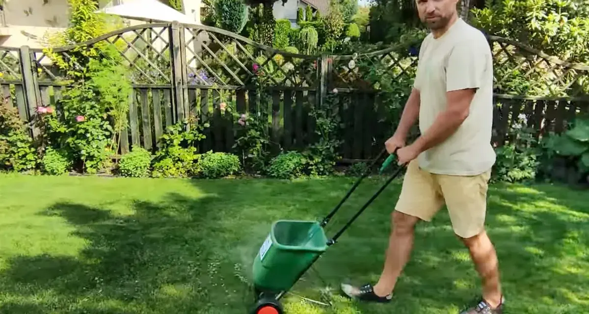 Mężczyzna z dredami pokazuje, jak ustawić siewnik do trawy, rozsypując nawóz na trawniku.