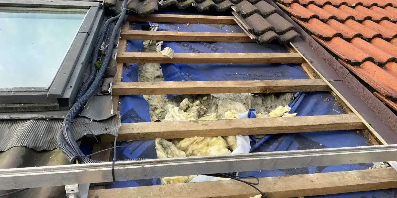 Uszkodzony dach z widoczną izolacją, jakby kuna zrobiła sobie tam gniazdo.