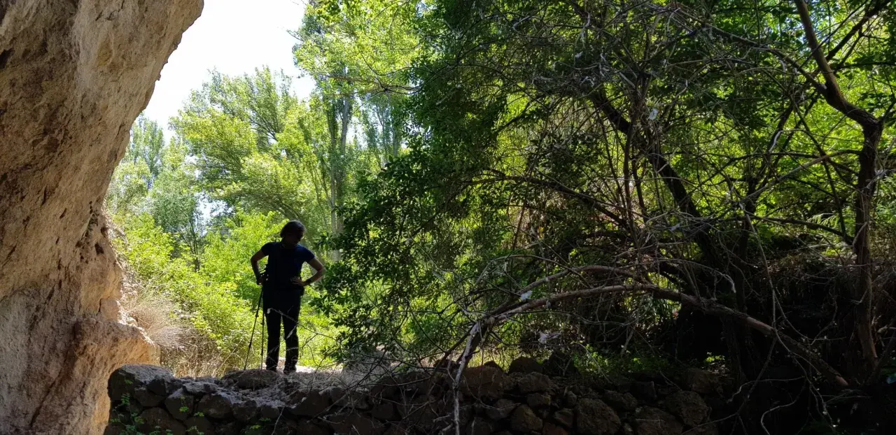 Persona con bastones de senderismo, disfrutando de las rutas por Siguenza, rodeada de vegetación exuberante y formaciones rocosas.